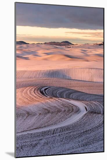 Winter Contours. Snowy Hills Of The Palouse Outside Of Moscow, Idaho At Sunset-Ben Herndon-Mounted Photographic Print