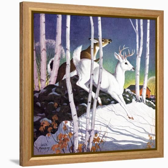 Winter Deer - Child Life-Jack Murray-Framed Premier Image Canvas