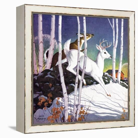 Winter Deer - Child Life-Jack Murray-Framed Premier Image Canvas