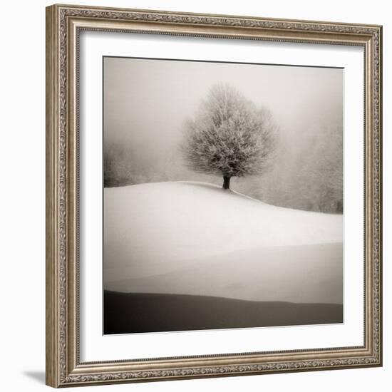 Winter Degradee-SC-Framed Photographic Print