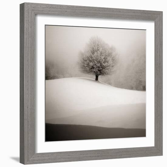 Winter Degradee-SC-Framed Photographic Print