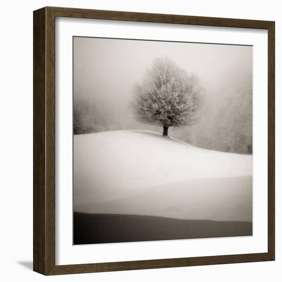 Winter Degradee-SC-Framed Photographic Print