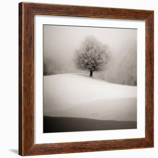 Winter Degradee-SC-Framed Photographic Print