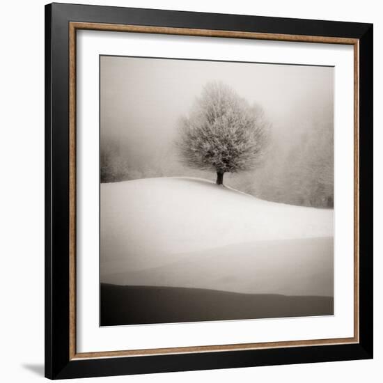 Winter Degradee-SC-Framed Photographic Print