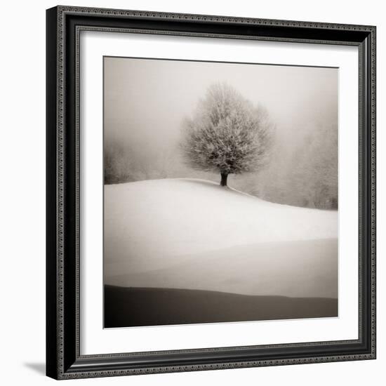 Winter Degradee-SC-Framed Photographic Print