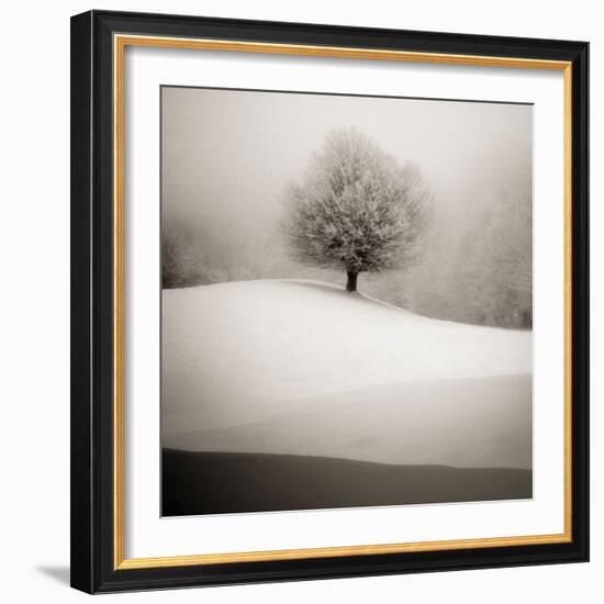 Winter Degradee-SC-Framed Photographic Print