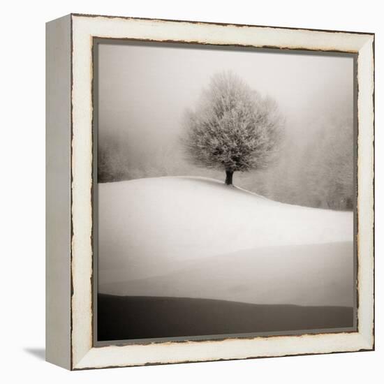 Winter Degradee-SC-Framed Premier Image Canvas