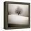 Winter Degradee-SC-Framed Premier Image Canvas