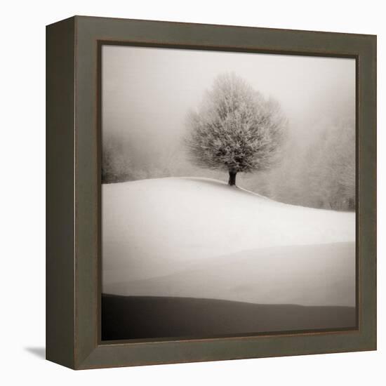 Winter Degradee-SC-Framed Premier Image Canvas