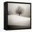 Winter Degradee-SC-Framed Premier Image Canvas