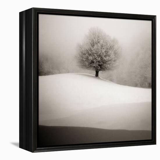 Winter Degradee-SC-Framed Premier Image Canvas