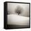 Winter Degradee-SC-Framed Premier Image Canvas