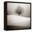 Winter Degradee-SC-Framed Premier Image Canvas