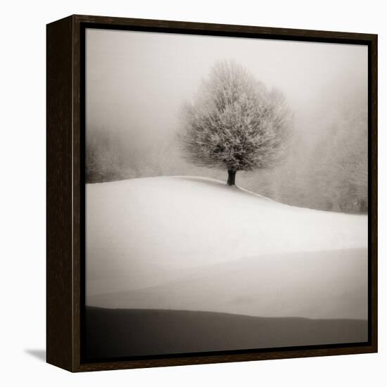 Winter Degradee-SC-Framed Premier Image Canvas