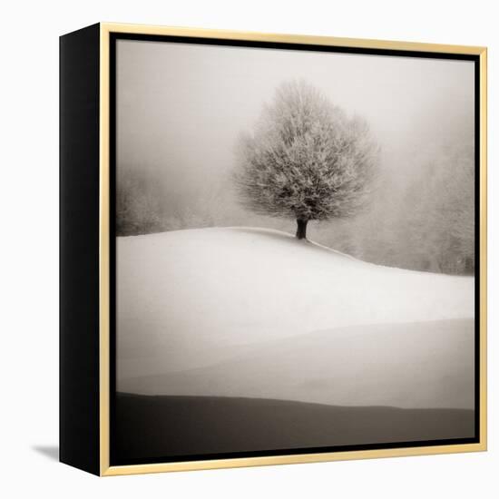 Winter Degradee-SC-Framed Premier Image Canvas