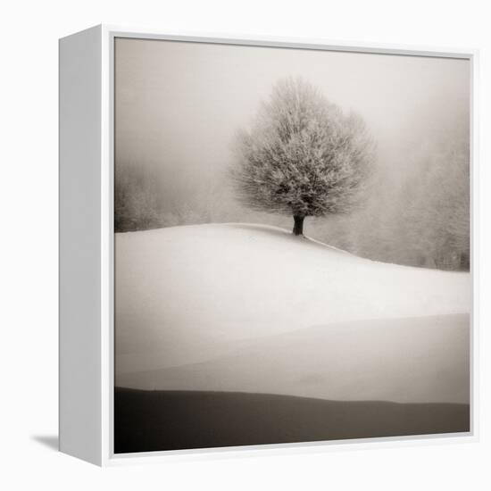 Winter Degradee-SC-Framed Premier Image Canvas