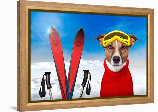 Winter Dog Snow-Javier Brosch-Framed Premier Image Canvas