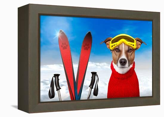 Winter Dog Snow-Javier Brosch-Framed Premier Image Canvas