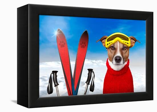 Winter Dog Snow-Javier Brosch-Framed Premier Image Canvas