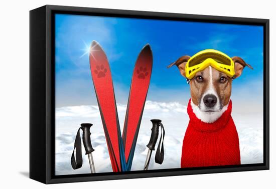 Winter Dog Snow-Javier Brosch-Framed Premier Image Canvas