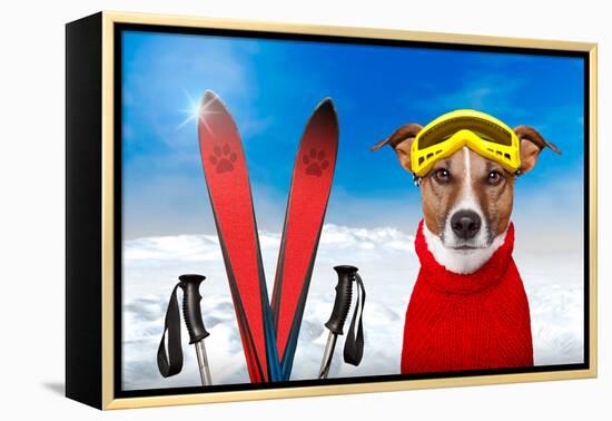 Winter Dog Snow-Javier Brosch-Framed Premier Image Canvas