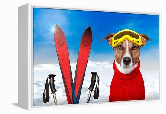 Winter Dog Snow-Javier Brosch-Framed Premier Image Canvas