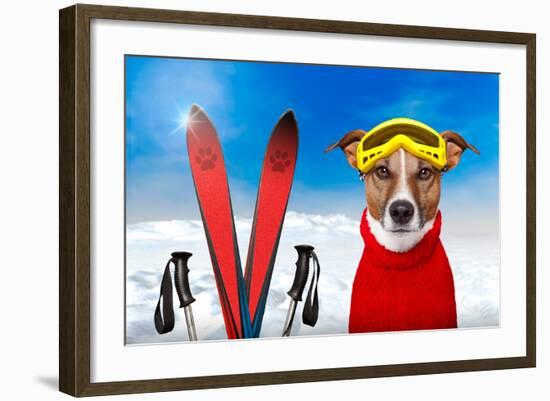 Winter Dog Snow-Javier Brosch-Framed Photographic Print