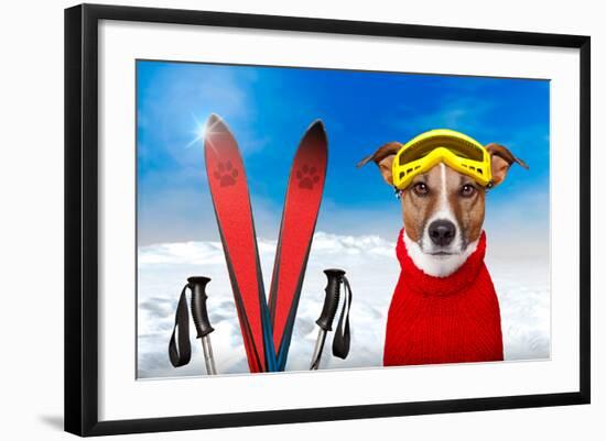 Winter Dog Snow-Javier Brosch-Framed Photographic Print