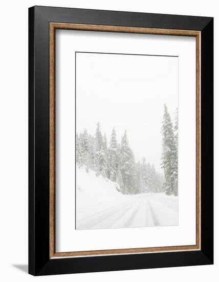 Winter driving conditions on Mount Hood, Oregon, USA-Stuart Westmorland-Framed Photographic Print