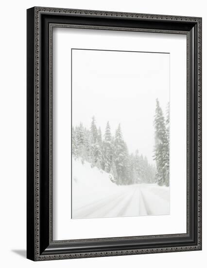 Winter driving conditions on Mount Hood, Oregon, USA-Stuart Westmorland-Framed Photographic Print