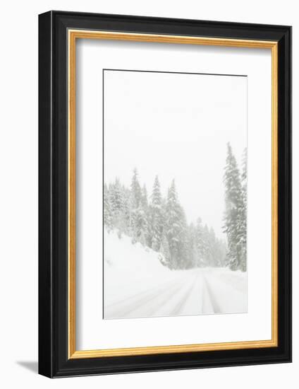 Winter driving conditions on Mount Hood, Oregon, USA-Stuart Westmorland-Framed Photographic Print