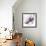 Winter Dusk II-Sandra Jacobs-Framed Giclee Print displayed on a wall