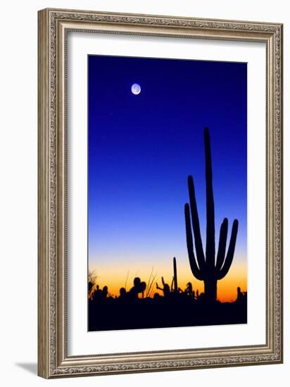 Winter Earthshine-Douglas Taylor-Framed Photo