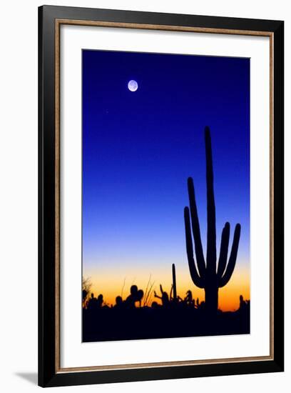 Winter Earthshine-Douglas Taylor-Framed Photo