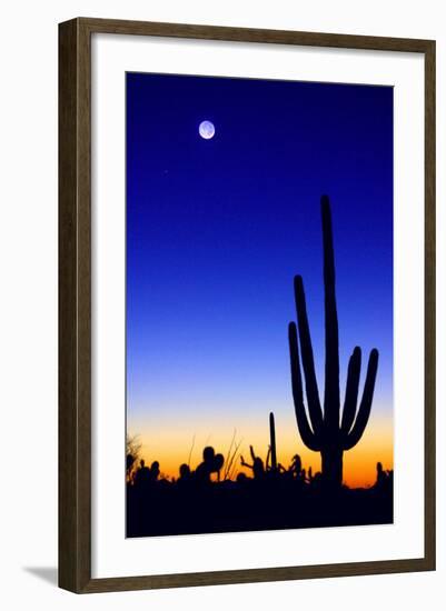 Winter Earthshine-Douglas Taylor-Framed Photo