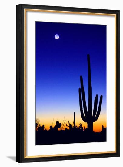 Winter Earthshine-Douglas Taylor-Framed Photo