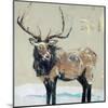 Winter Elk Neutral-Kellie Day-Mounted Art Print