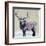 Winter Elk-Kellie Day-Framed Art Print