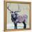 Winter Elk-Kellie Day-Framed Stretched Canvas