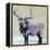 Winter Elk-Kellie Day-Framed Stretched Canvas