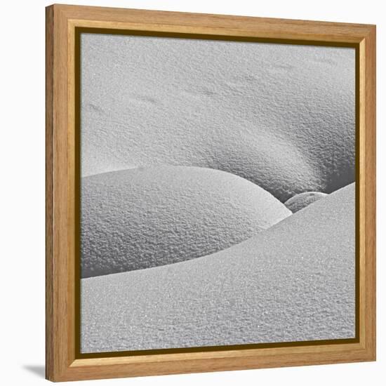 Winter Erotica.-Lyubov Furs-Framed Premier Image Canvas