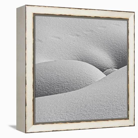 Winter Erotica.-Lyubov Furs-Framed Premier Image Canvas