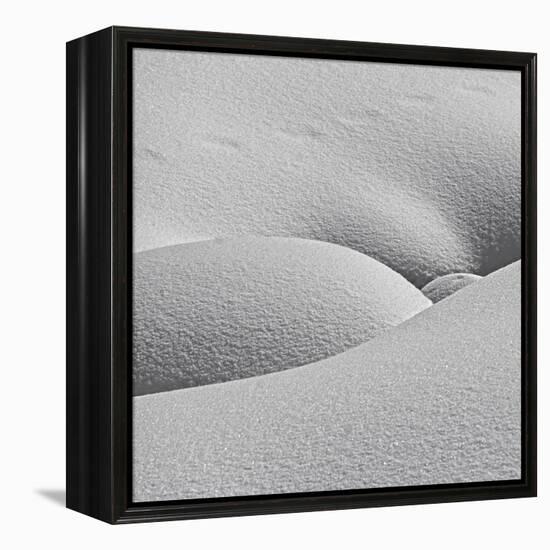 Winter Erotica.-Lyubov Furs-Framed Premier Image Canvas