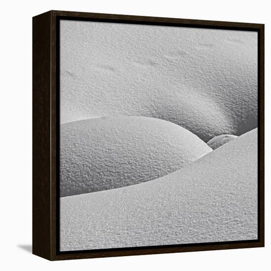 Winter Erotica.-Lyubov Furs-Framed Premier Image Canvas