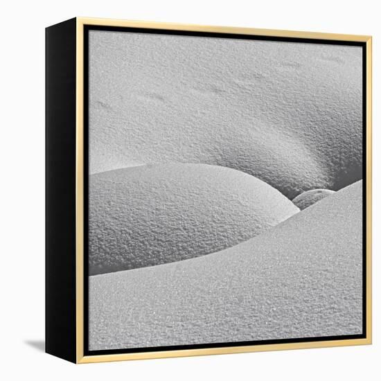 Winter Erotica.-Lyubov Furs-Framed Premier Image Canvas