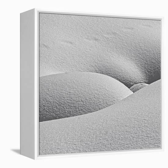 Winter Erotica.-Lyubov Furs-Framed Premier Image Canvas