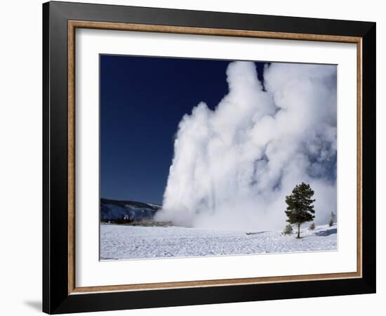 Winter Eruption, Old Faithful Geyser, Yellowstone National Park, Wyoming-Tony Waltham-Framed Photographic Print