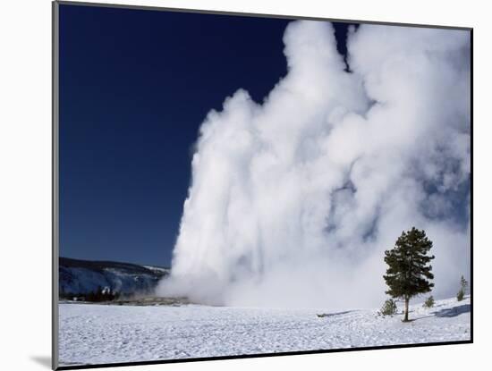 Winter Eruption, Old Faithful Geyser, Yellowstone National Park, Wyoming-Tony Waltham-Mounted Photographic Print