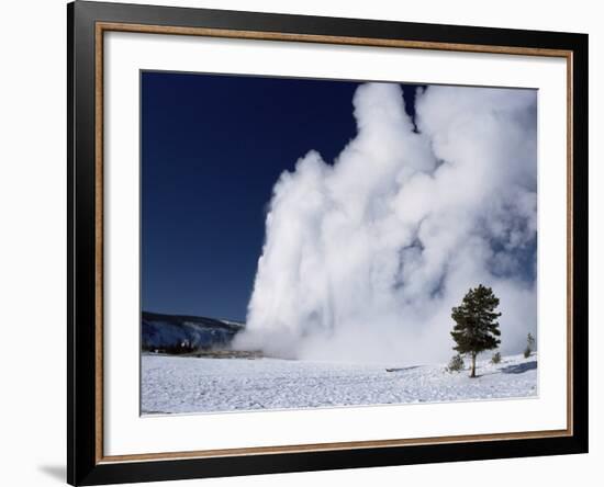 Winter Eruption, Old Faithful Geyser, Yellowstone National Park, Wyoming-Tony Waltham-Framed Photographic Print