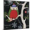 Winter Fantasy Owls II-Paul Brent-Mounted Art Print